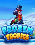 แนะนำ joker123 เครดิต ฟรี เพื่อการเล่นที่สนุกและได้กำไร